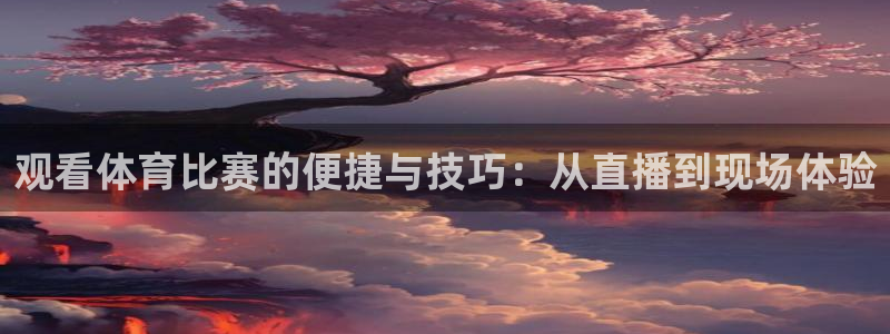 观看体育比赛的便捷与技巧：从直播到现场体验