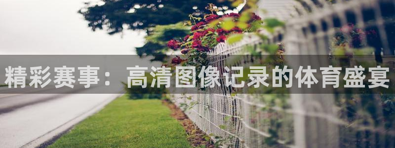 精彩赛事：高清图像记录的体育盛宴