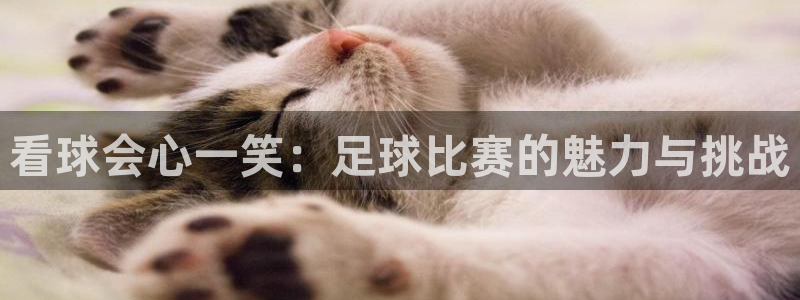 看球会心一笑：足球比赛的魅力与挑战