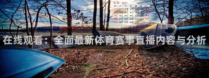在线观看：全面最新体育赛事直播内容与分析