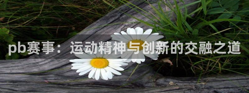 pb赛事：运动精神与创新的交融之道
