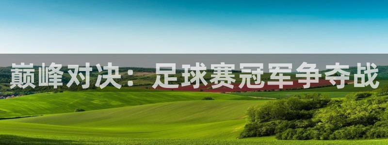 巅峰对决：足球赛冠军争夺战