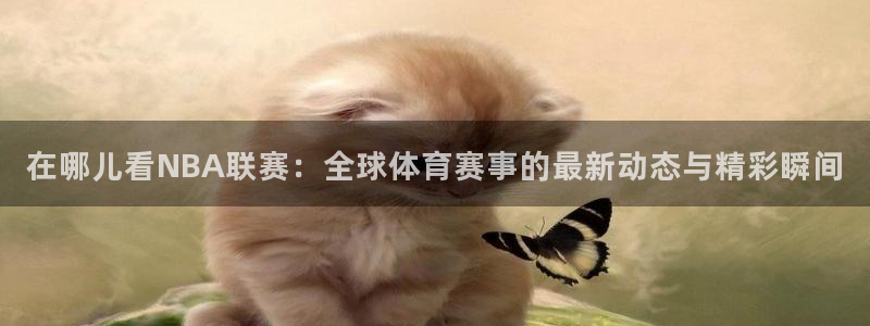 在哪儿看NBA联赛：全球体育赛事的最新动态与精彩瞬间