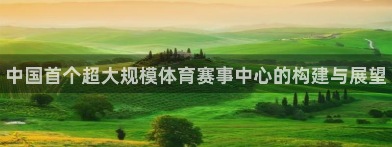 中国首个超大规模体育赛事中心的构建与展望