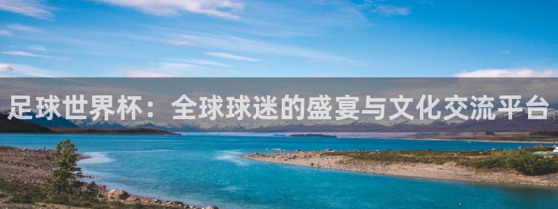 足球世界杯：全球球迷的盛宴与文化交流平台