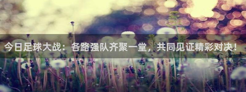 今日足球大战：各路强队齐聚一堂，共同见证精彩对决！