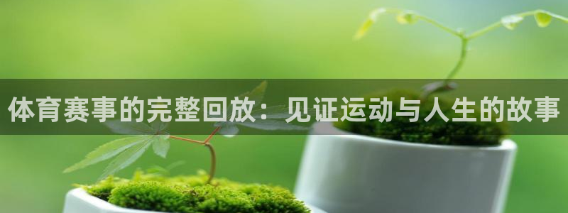 体育赛事的完整回放：见证运动与人生的故事