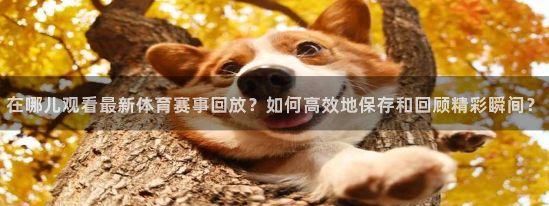 在哪儿观看最新体育赛事回放？如何高效地保存和回顾精彩瞬间？