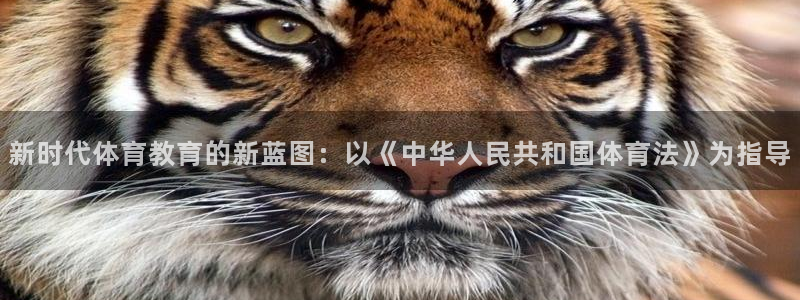新时代体育教育的新蓝图：以《中华人民共和国体育法》为指导
