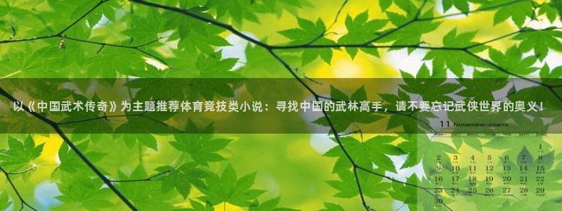 以《中国武术传奇》为主题推荐体育竞技类小说：寻找中国的武林高手，请不要忘记武侠世界的奥义！