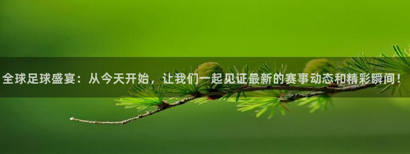 全球足球盛宴：从今天开始，让我们一起见证最新的赛事动态和精彩瞬间！