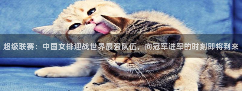 超级联赛：中国女排迎战世界最强队伍，向冠军进军的时刻即将到来