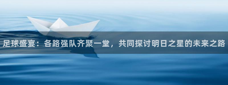 足球盛宴：各路强队齐聚一堂，共同探讨明日之星的未来之路