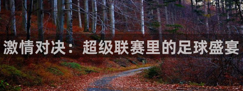 激情对决：超级联赛里的足球盛宴