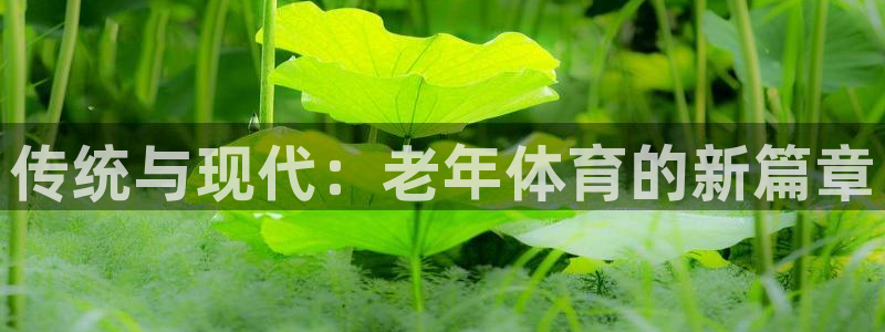 传统与现代：老年体育的新篇章