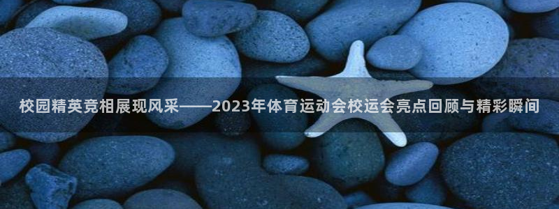 校园精英竞相展现风采——2023年体育运动会校运会亮点回顾与精彩瞬间