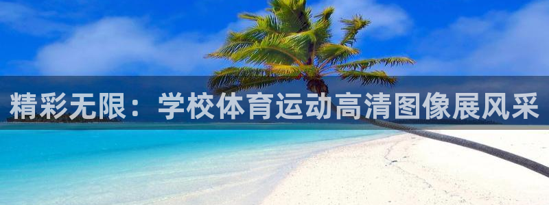 精彩无限：学校体育运动高清图像展风采