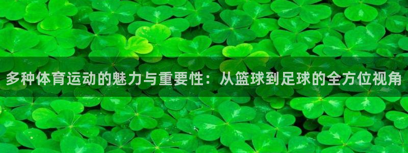 多种体育运动的魅力与重要性：从篮球到足球的全方位视角