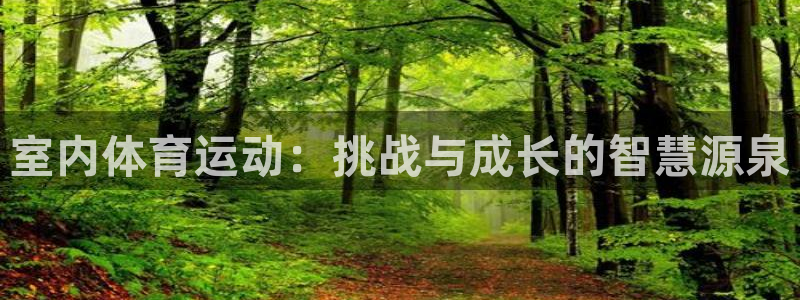 室内体育运动：挑战与成长的智慧源泉