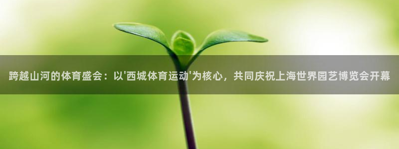 跨越山河的体育盛会：以\'西城体育运动\'为核心，共同庆祝上海世界园艺博览会开幕