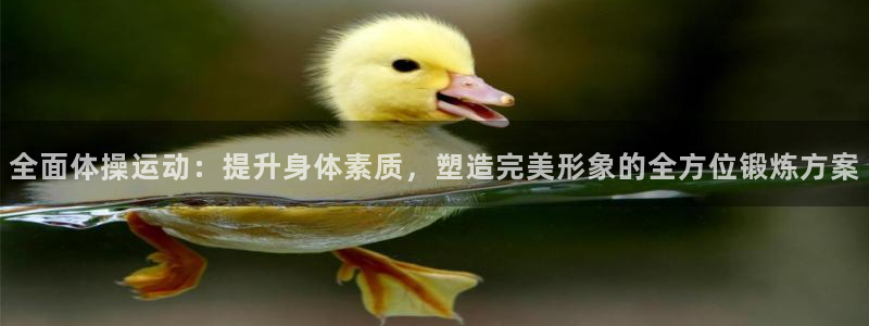 全面体操运动：提升身体素质，塑造完美形象的全方位锻炼方案