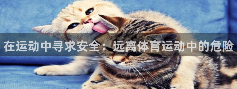 在运动中寻求安全：远离体育运动中的危险
