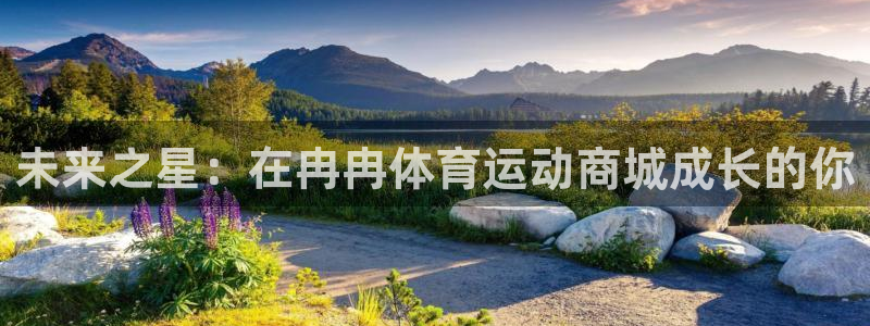 未来之星：在冉冉体育运动商城成长的你