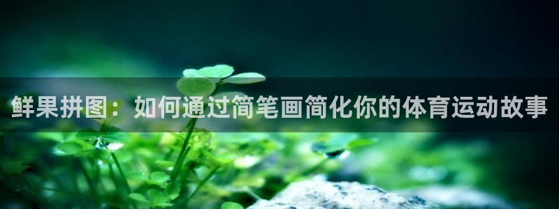 鲜果拼图：如何通过简笔画简化你的体育运动故事