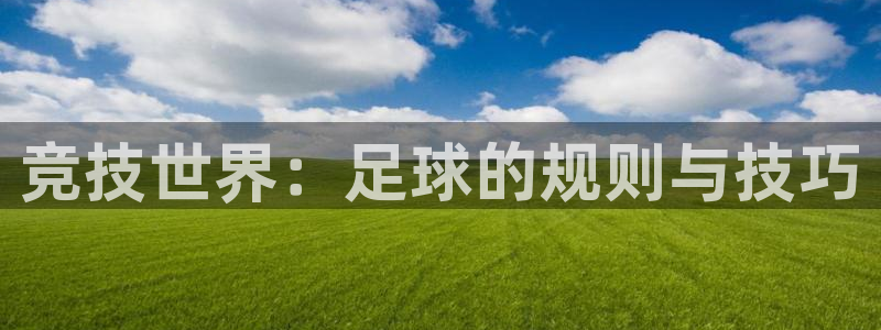 竞技世界：足球的规则与技巧