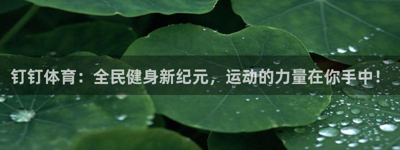 钉钉体育：全民健身新纪元，运动的力量在你手中！
