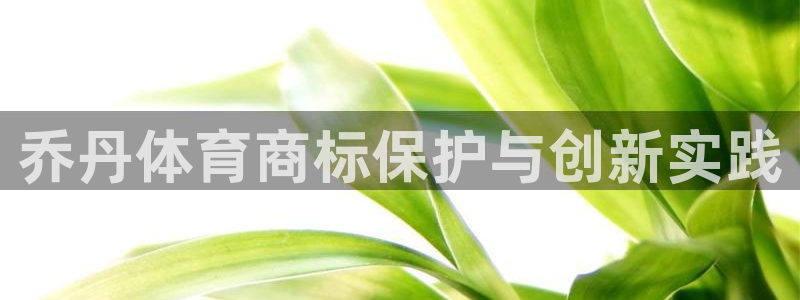 乔丹体育商标保护与创新实践