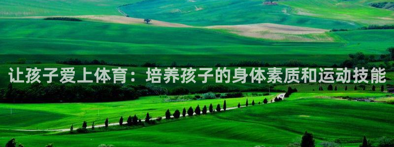 让孩子爱上体育：培养孩子的身体素质和运动技能