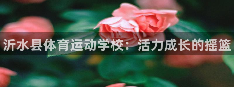 沂水县体育运动学校：活力成长的摇篮