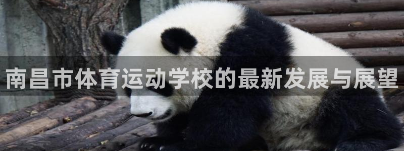 南昌市体育运动学校的最新发展与展望