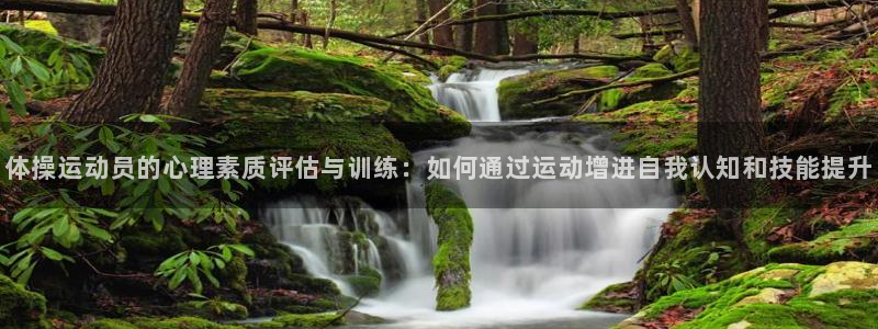 体操运动员的心理素质评估与训练：如何通过运动增进自我认知和技能提升