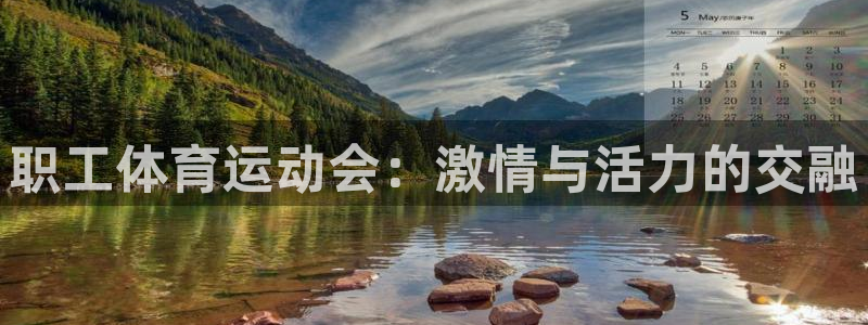职工体育运动会：激情与活力的交融